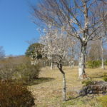 小山町へ！　～富士霊園～