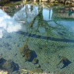 忍野村へ！　～忍野八海　2020年冬～