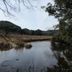 磐田市へ！　～桶ヶ谷沼～