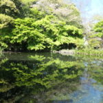 富士宮市へ！　～湧玉池　2020年春～