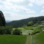 浜松市へ！　～大栗安の棚田～