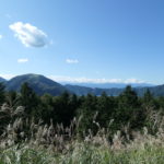 富士河口湖町へ！　～青木ヶ原樹海　2020年秋～