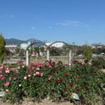 秦野市へ！　～秦野市運動公園　2020年秋～