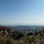 電車 or 車 to 秦野