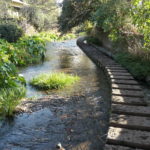 三島市へ！　～源兵衛川～