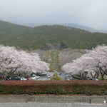 桜の旅　2021　第一弾