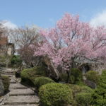 快走ドライブ　新宿駅→元箱根港