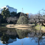文京区へ！　～小石川後楽園～