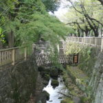 北区へ！　～音無親水公園～