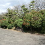 北区へ！　～飛鳥山公園～