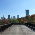 渋谷区へ！　～代々木公園～