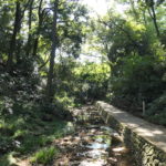 世田谷区へ！　～等々力渓谷～
