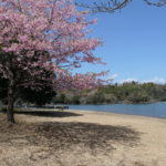 伊東市へ！　～一碧湖　2022年春～