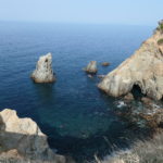 伊豆市へ！　～仁科峠　2022年春～