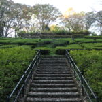 川崎市へ！　～東高根森林公園～