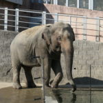日野市へ！　～多摩動物公園～