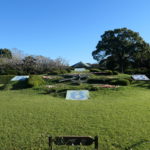 静岡市へ！　～城北公園　2022年秋～