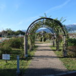 秦野市へ！　～秦野市運動公園　2022年秋～