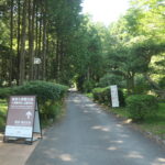 サイクリング日記　4　箱根町　～芦ノ湖～